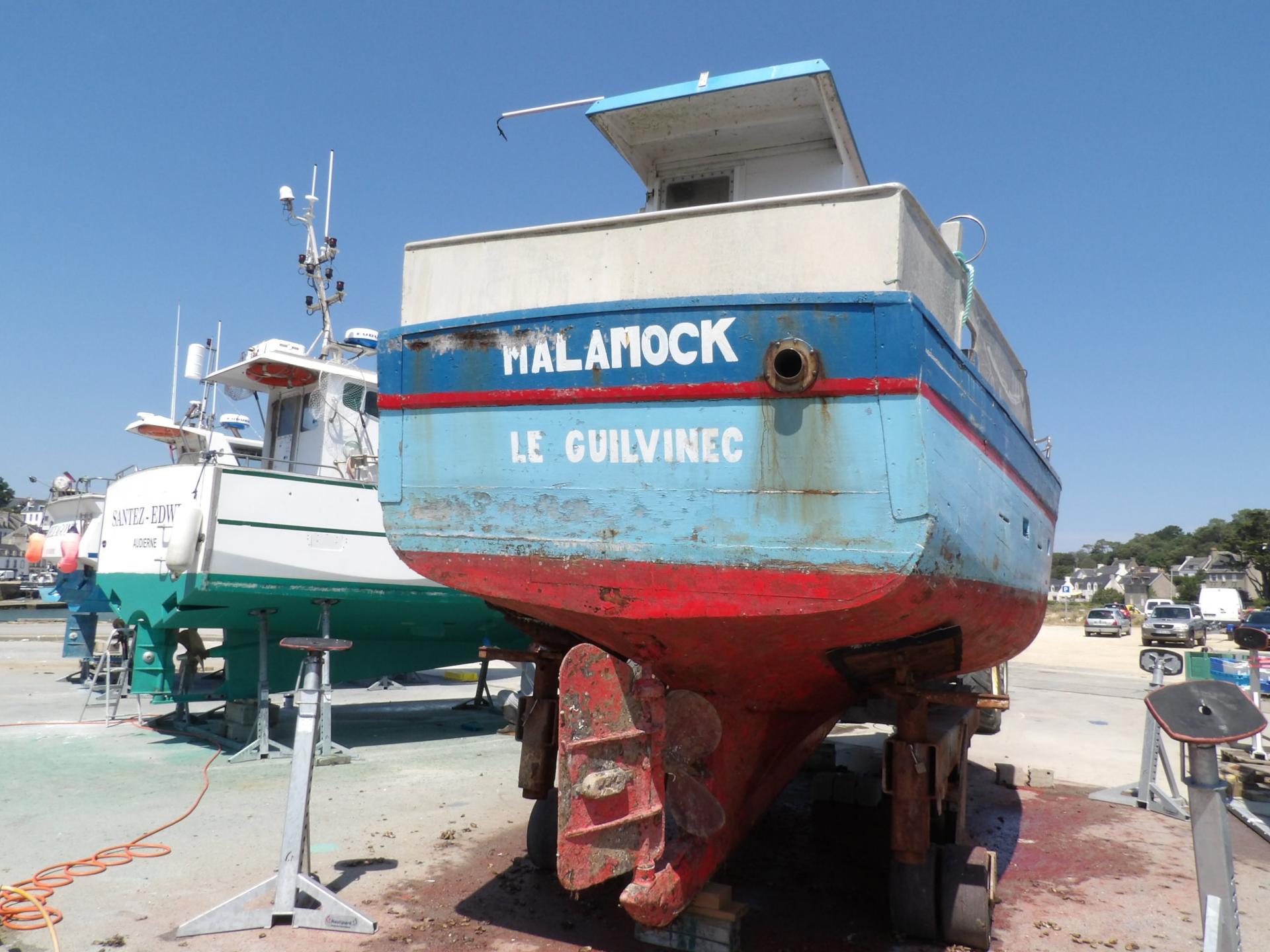 260717 malamock d